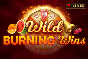 Wild Burning Wins: 5 lines | Игровые автоматы EuroGame