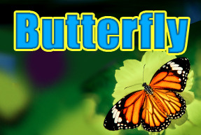 Butterfly | Slot machines EuroGame