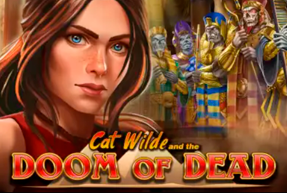 Cat Wilde Doom | Игровые автоматы EuroGame