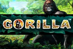 Gorilla | Slot machines EuroGame