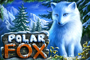 Polar Fox | Slot machines EuroGame