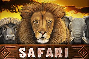 Safari | Slot machines EuroGame
