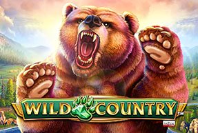Wild Country | Игровые автоматы EuroGame