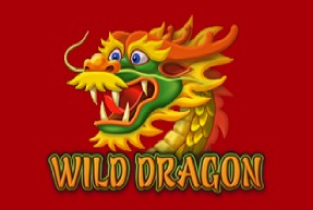 Wild Dragon | Игровые автоматы EuroGame