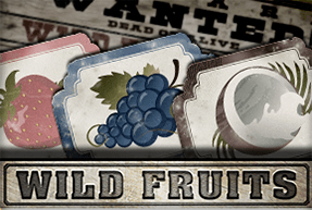 Wild Fruits | Slot machines EuroGame